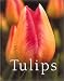 Book Tulips