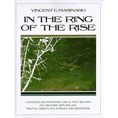 In the Ring of the Rise