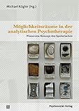 Image de Möglichkeitsräume in der analytischen Psychotherapie: Winnicotts Konzept des Spielerischen (Biblio