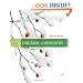 Organic Chemistry (with CengageNOW 2-Semester Printed Access Card) (Available Titles Cengagenow)