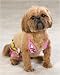 MEDIUM - Canine Maui Flowers Bikini