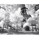 Afternoon in Paris (Eiffel Tower, Park) Photo Print Poster - 11x14