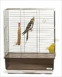 Photographic Prints of Cockatiel - on perch in cage from Ardea Wildlife Pets
