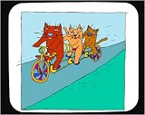 Mouse Pad with cat, bicycle, animal, riding, family