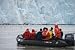 photo poster Zodiac with tourists watch Kittiwakes (Rissa tridactyla) and Arctics Tern (Sterna pa...