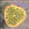 An Extraordinary Tribute to Fiona Apple