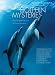 Dolphin Mysteries: Unlocking the Secrets of Communication Image of Dolphin Mysteries: Unlocking the Secrets of Communication