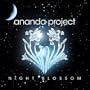 Fireworks (Blaze Roots Vocal Mix)
