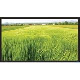 VUTEC COF4580MW Consort Fixed Frame Projection Screen (92"; 45" x 80")