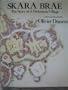 Skara Brae: The Story of a Prehistoric Village