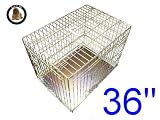 Ellie-Bo Gold 36 inch Large 2 Door Folding Dog Puppy Cage