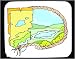 Mouse Pad with map, alkali, playa