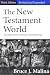 The New Testament World