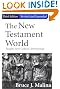 The New Testament World: Insights from Cultural Anthropology 3rd edition