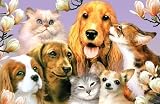 Class Picture Jigsaw Puzzle 300pc
