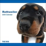 2009 Rottweiler ARTLIST Square Wall Calendar
