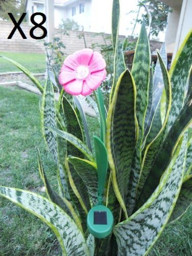 Set of 8 Beautiful Garden Decorative Ballerina Pink Paddle Trumpet Flower Solar Light