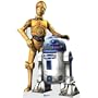 C3PO and R2D2 Life Size Cutout 70in
