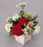 ���G�}�A�[�g�t�����[�@�`�Q�U�O�Q�|�T�O�@