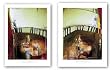 Quixotic Set by Ivan Reyes 23.625"x31.25" Art Print Poster