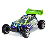 Tornado S30 1 10 Scale Nitro Buggy 2.4GHz Purple by Redcat Racing