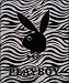 New Licensed Original PLAYBOY BUNNY RABBIT Queen Size Mink Blanket Zebra