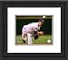 Framed James Shields Tampa Bay Rays Photo