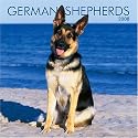 German Shepherds 2008 Square Wall Calendar (German, French and Spanish Edition)