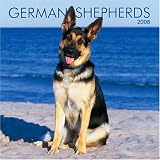 German Shepherds 2008 Square Wall Calendar