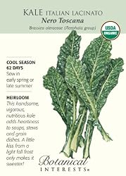 Kale Italian Lacinato Nero Toscana Certified Organic Seeds