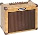 Kustom Sienna Series 30-watt Acoustic Amplifier