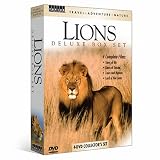 Lions - Deluxe Boxt Set