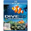 Dive 3D - Leben im Schiffswrack (3D Version inkl. 2D Version & 3D Lenticular Card) [3D Blu-ray]