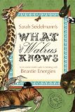 What The Walrus Knows