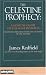 The Celestine Prophecy: A Concise Guide to the Nine Insights Featuring Original Essays & Lectures by the Author