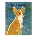 Chihuahua (red) framed print - John Golden 12x15