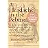 A Headache in the Pelvis, a New, Revised, Expanded and Updated 6th Edition: A New Understanding and Treatment for Chronic Pelvic Pain Syndromes
