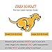 Dog Leash Harness,ERZA SCARLET Adjustable and Heavy Duty Denim Dog Leash Collar for Training & Everyday Walking,Leash Collar for Small and Large Dog(small,11.8-17.7inch)