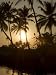 Backwater Near Mobor, Goa, India Art Photographic Poster Print by R H Productions, 18...
