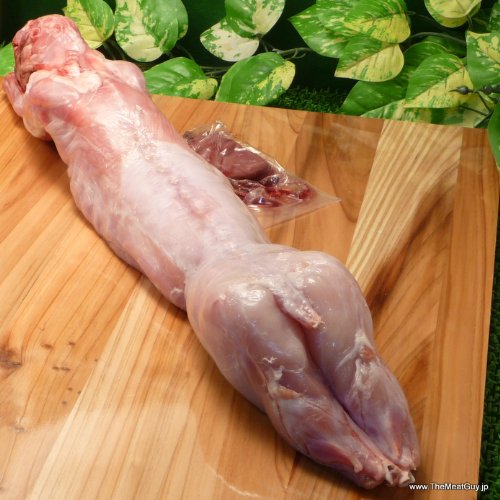 丸うさぎ(ﾗﾊﾟﾝ)