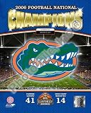 Florida Gators , 16x20