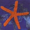 13th Star