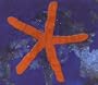 13th Star