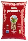 0.9kg Peanuts