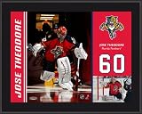 Jose Theodore Sublimated 10x13 Color Plaque | Details: Florida Panthers