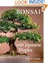 Bonsai with Japanese Maples