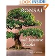 BUY : Bonsai with Japanese Maples