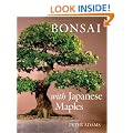 Bonsai with Japanese Maples