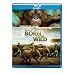 IMAX: Born to Be Wild [Blu-ray]