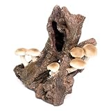 Mushroom Log - Large